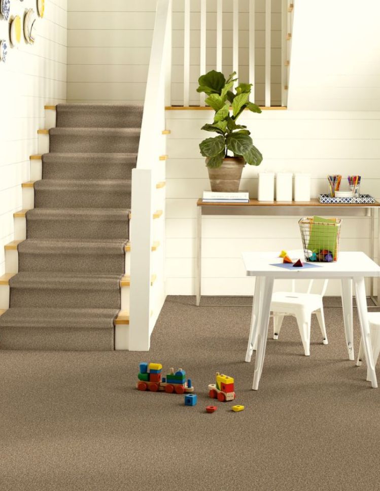 carpets in a Southaven entryway